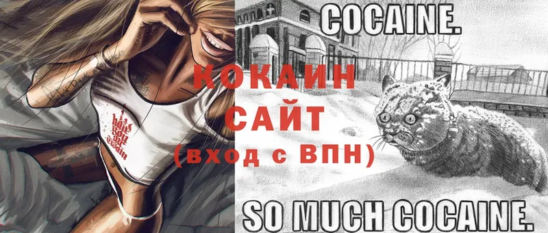 цена наркотик  Бежецк  Cocaine 98% 